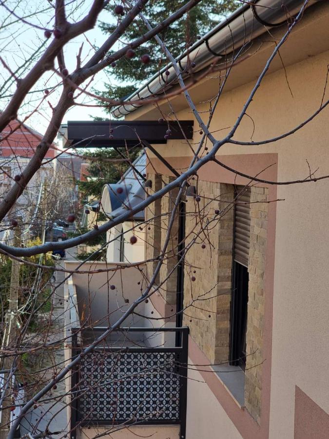 As Apartman 2 Вршац Экстерьер фото